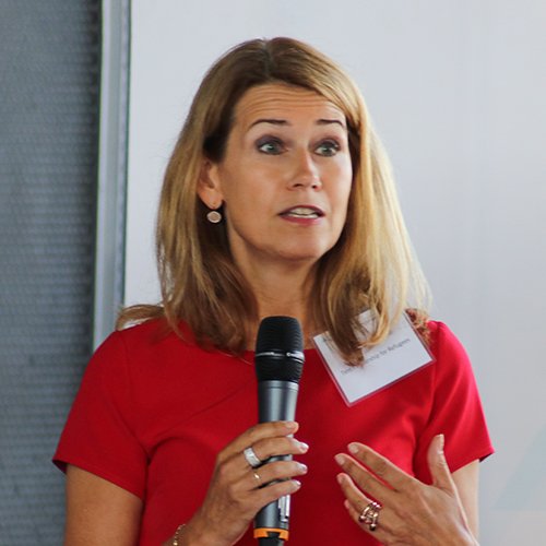 Hélène Van Melle Web